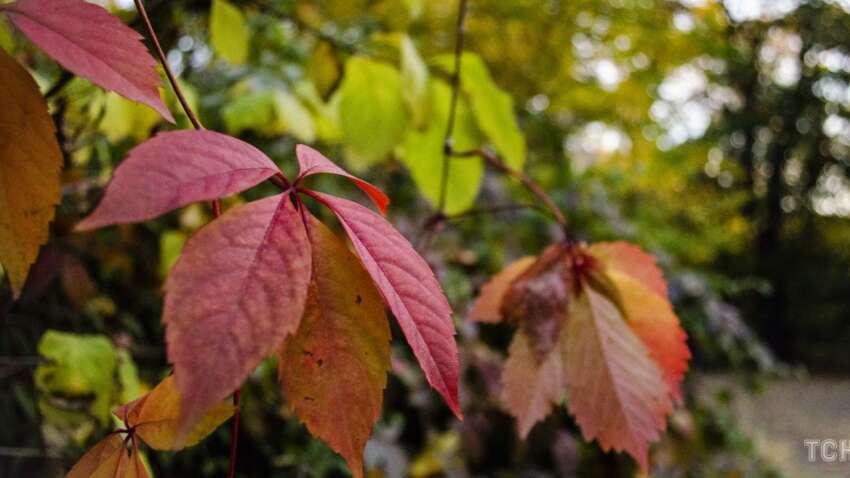 Яке церковне свято 11 жовтня: головна заборона цього дня