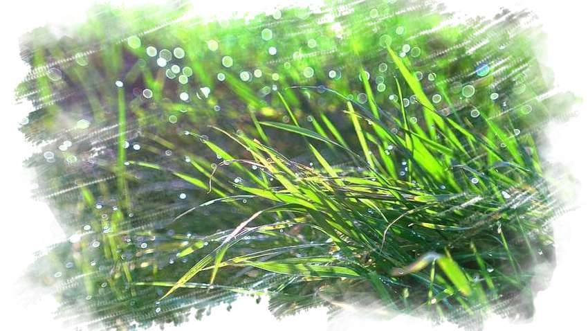 Прогноз погоды: в Украину идет резкое похолодание Прогноз погоды: в Украину идет резкое похолодание