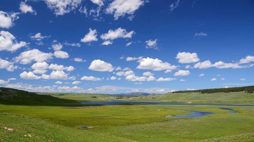 Ученые заявили, что зеленые пригороды могут быть вреднее больших городов Ученые заявили, что зеленые пригороды могут быть вреднее больших городов