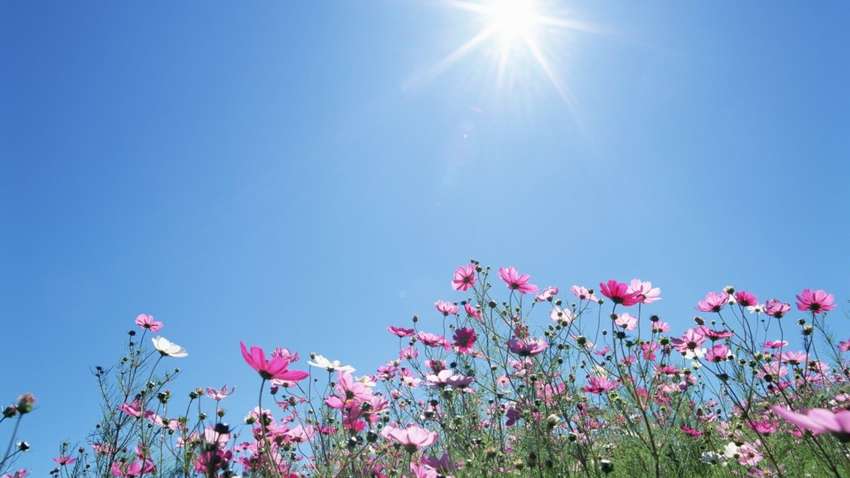 Спека почне відступати: погода в Україні різко зміниться Спека почне відступати: погода в Україні різко зміниться