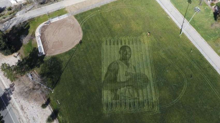 В Калифорнии пара с помощью газонокосилки и GPS создала гигантский портрет Коби Брайанта на траве (фото, видео)