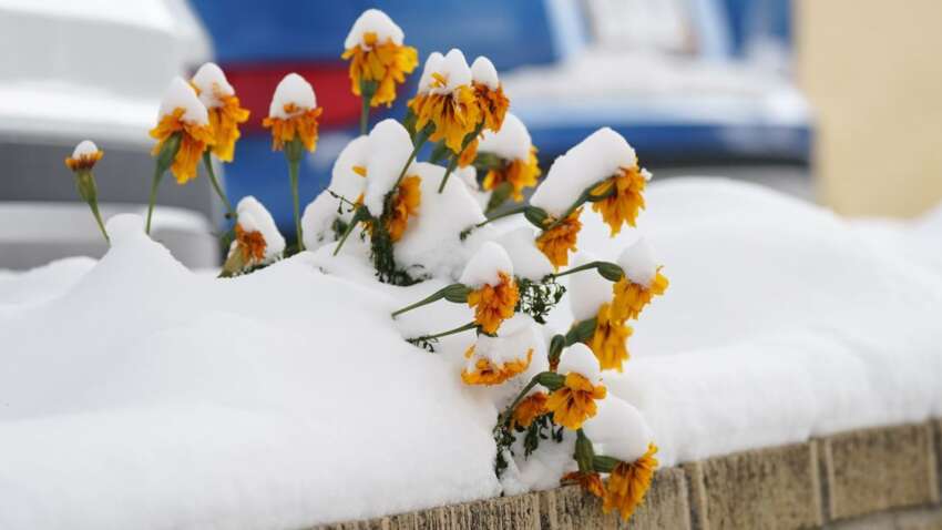 Какой церковный праздник 29 ноября: что нужно взять взаймы в этот день Какой церковный праздник 29 ноября: что нужно взять взаймы в этот день