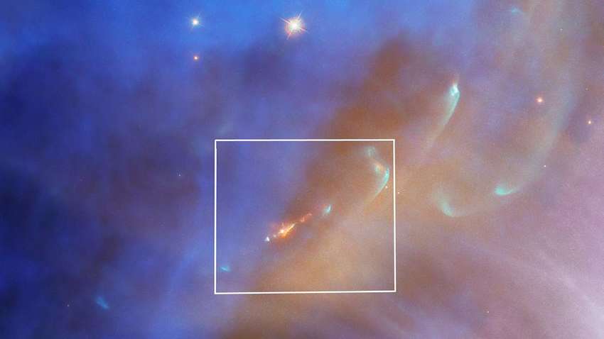 В NASA показали фото плазмы новорожденной звезды