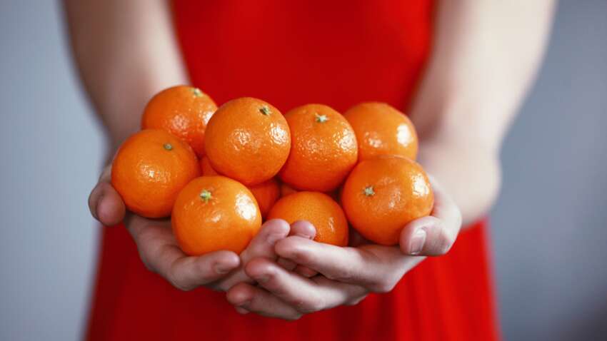 Как выбрать самые сладкие мандарины: 4 ключевых фактора Как выбрать самые сладкие мандарины: 4 ключевых фактора