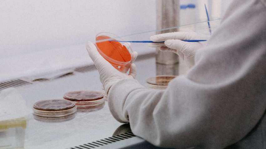 У кого риск умереть от коронавируса самый высокий: врач назвал категорию людей 