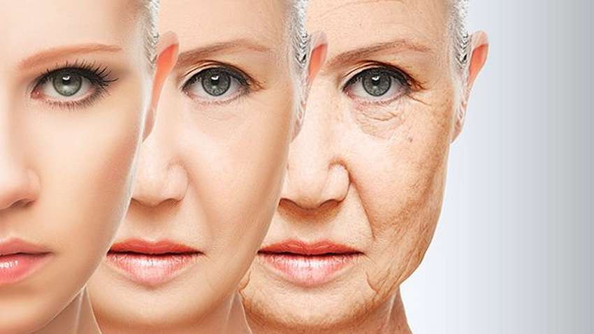 Джефф Безос вложил миллиарды в создание "таблетки бессмертия"