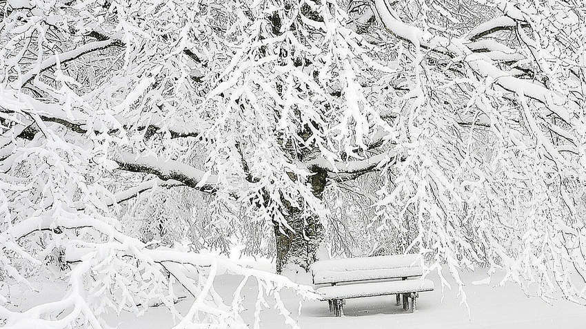 Синоптик спрогнозировала "классическую зиму" в Украине: как изменится погода Синоптик спрогнозировала "классическую зиму" в Украине: как изменится погода