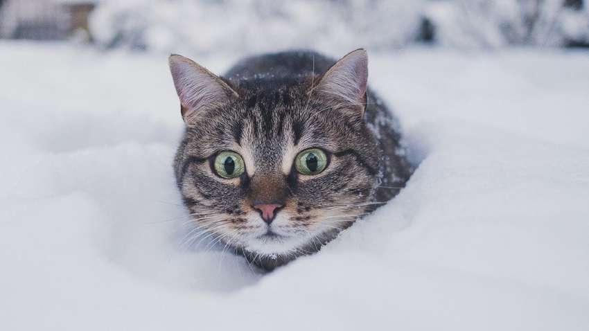 Мороз до -10 и гололедица: синоптики рассказали, какой будет погода в Украине Мороз до -10 и гололедица: синоптики рассказали, какой будет погода в Украине