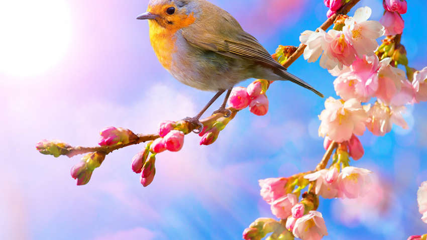 Что празднуют 3 апреля: именины и народные приметы Что празднуют 3 апреля: именины и народные приметы