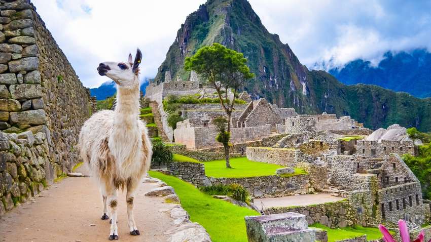 Україна отримала безвіз зі ще однією країною: що відомо