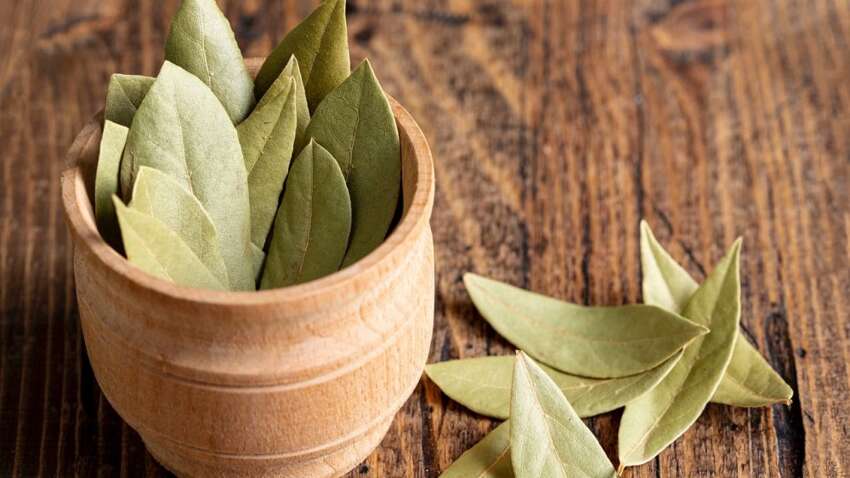 Уникальная специя, которая спасает от ряда болезней: медики ошеломили неожиданным открытием Уникальная специя, которая спасает от ряда болезней: медики ошеломили неожиданным открытием