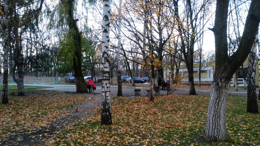 Температурний рекорд: листопад дивує теплою погодою, але триватиме вона недовго