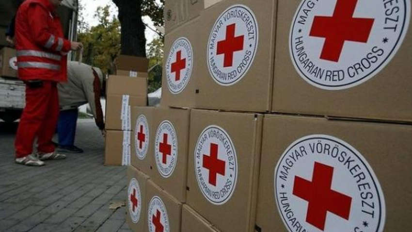 16 грузовиков: Красный Крест отправил на Донбасс медикаменты для борьбы с коронавирусом