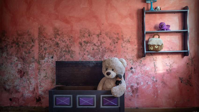 В США женщина нашла в ящике с игрушками труп своего внука 