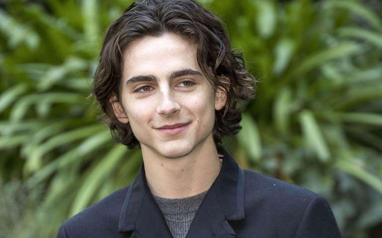 Тимоти Шаламе сыграет Боба Дилана