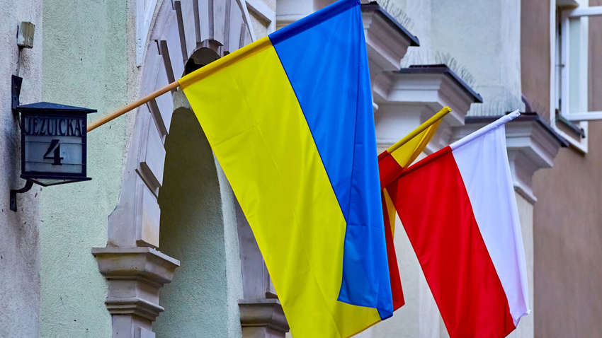 Реально ли создание альянса Украины и Польши: как преодолеть разногласия