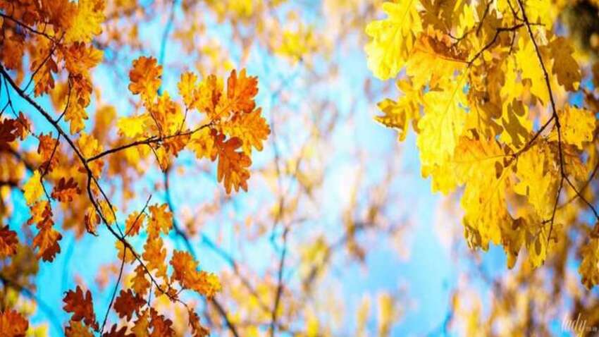 Яке церковне свято 13 листопада: що зробити сьогодні, щоб був багатий рік Яке церковне свято 13 листопада: що зробити сьогодні, щоб був багатий рік