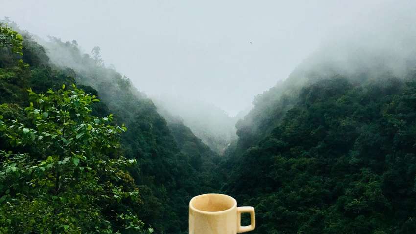 В Шотландии ищут человека, который будет дегустировать кофе