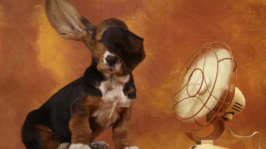 В Україні очікується спека до 35 градусів, в окремих областях дощі