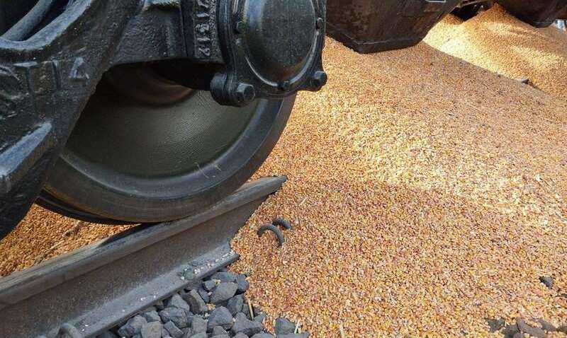 В Мининфраструктуры рассказали, сколько зерна уничтожили польские протестующие