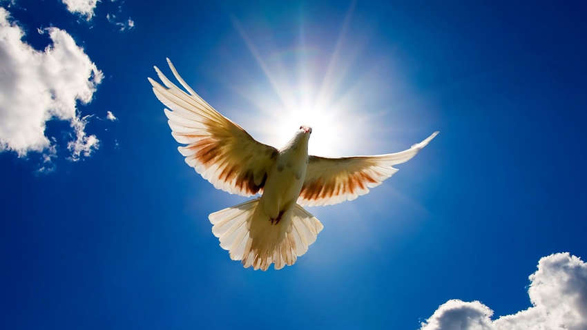 Благовещение в Украине: что нужно знать о церковном празднике в 2020 году 