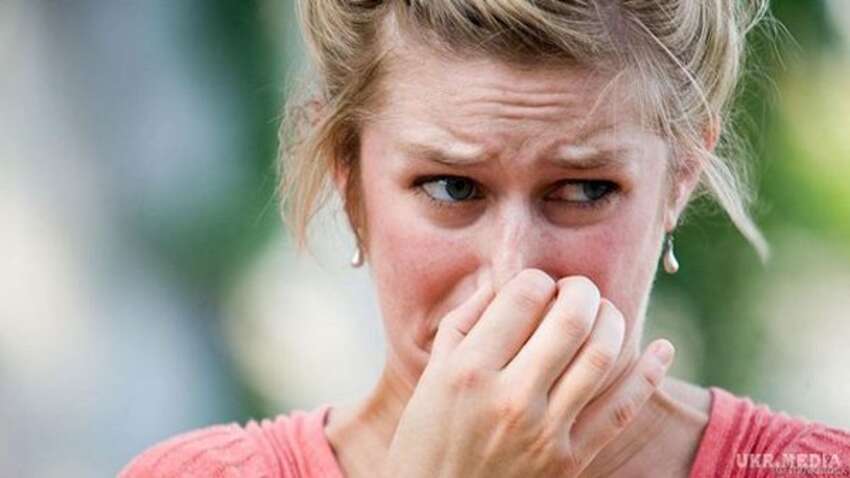 Вчені виявили, що "нюхання власного пукання" може покращити роботу мозку Вчені виявили, що "нюхання власного пукання" може покращити роботу мозку