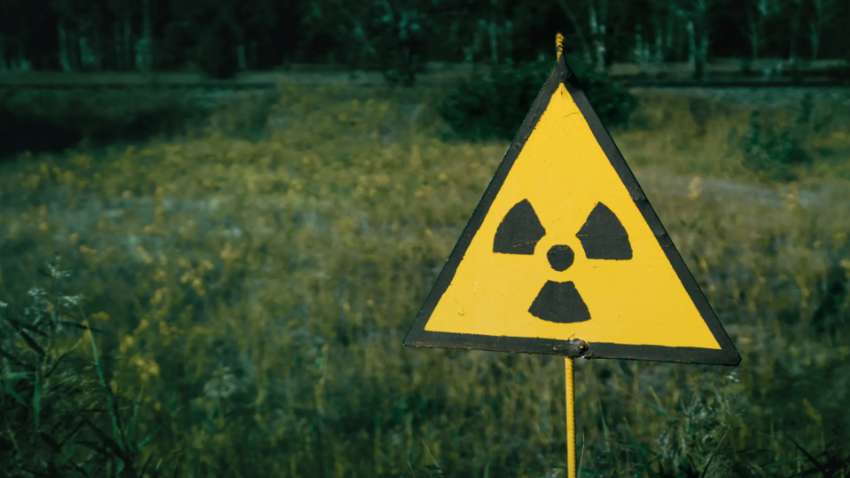 Вчені в Чорнобилі знайшли істот, на яких не впливає радіація Вчені в Чорнобилі знайшли істот, на яких не впливає радіація