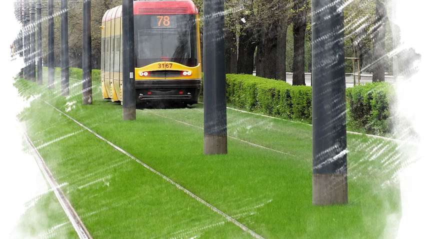 ФОТОФАКТ: у Польщі зазеленіли трамвайні колії ФОТОФАКТ: у Польщі зазеленіли трамвайні колії