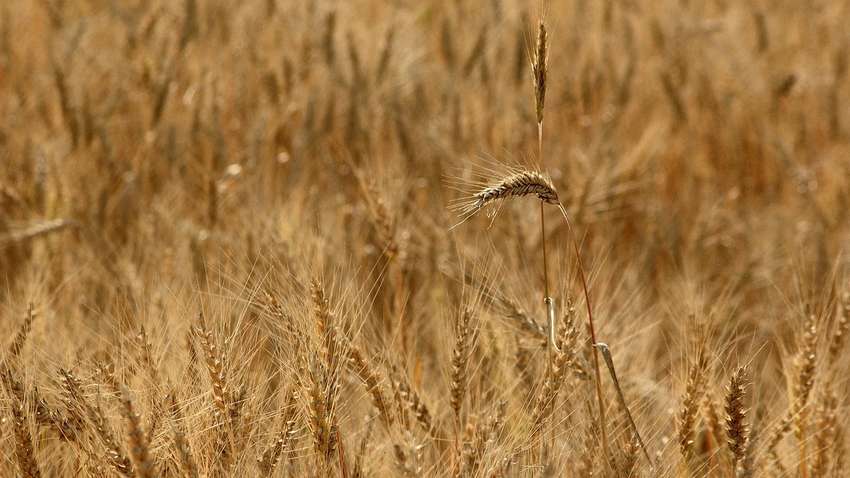 Аграрії просять Кабмін затвердити список окупованих територій для оптимізації оподаткування