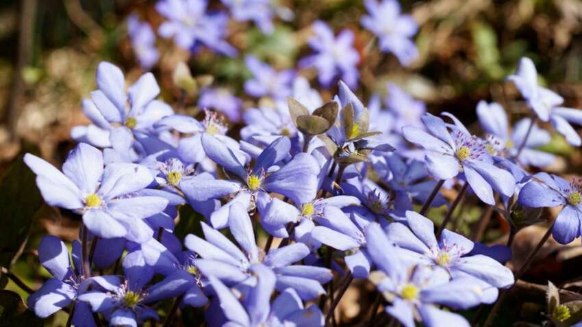 Какой церковный праздник 30 марта: почему сегодня советуют быть особенно осторожными