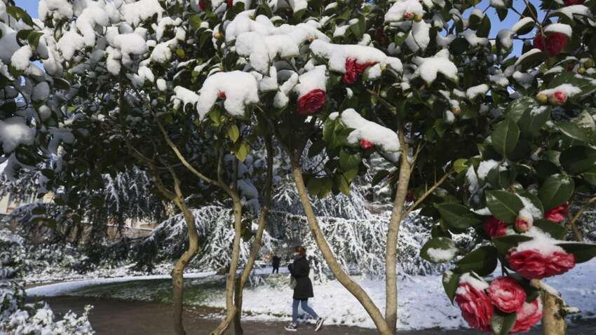 Церковне свято 19 лютого: чому сьогодні не рекомендується дивитися на зірки