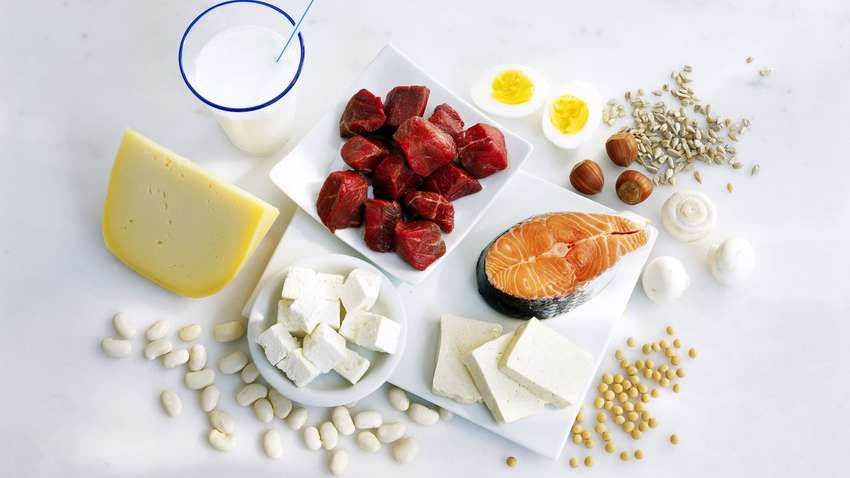 Сколько нужно употреблять белка, чтобы похудеть