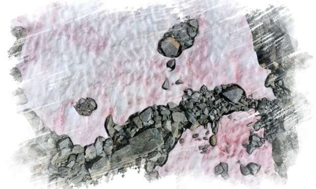 Стали известно, откуда в Альпах появляется розовый лед Стали известно, откуда в Альпах появляется розовый лед