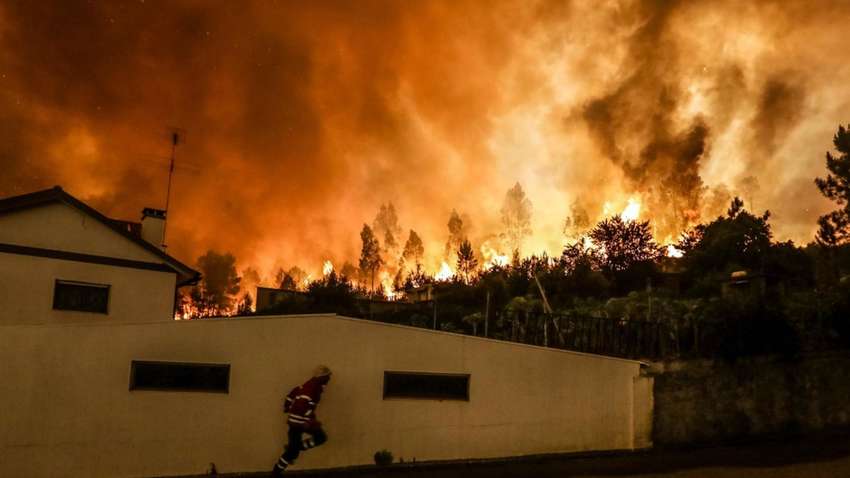 Украинцев предостерегли от путешествий лесами Португалии