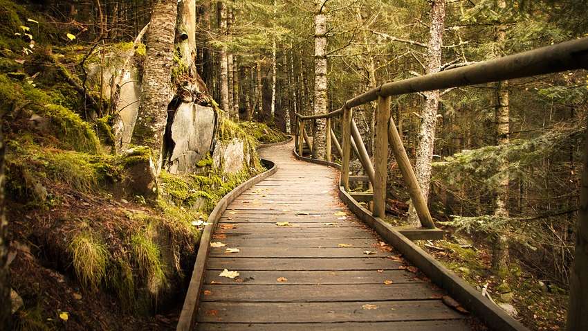 Ученые нашли древнее поселение, которое внезапно оставили жители Ученые нашли древнее поселение, которое внезапно оставили жители