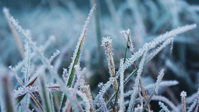 Украинцы точно удивятся: синоптики не на шутку поразили прогноз погоды на зиму