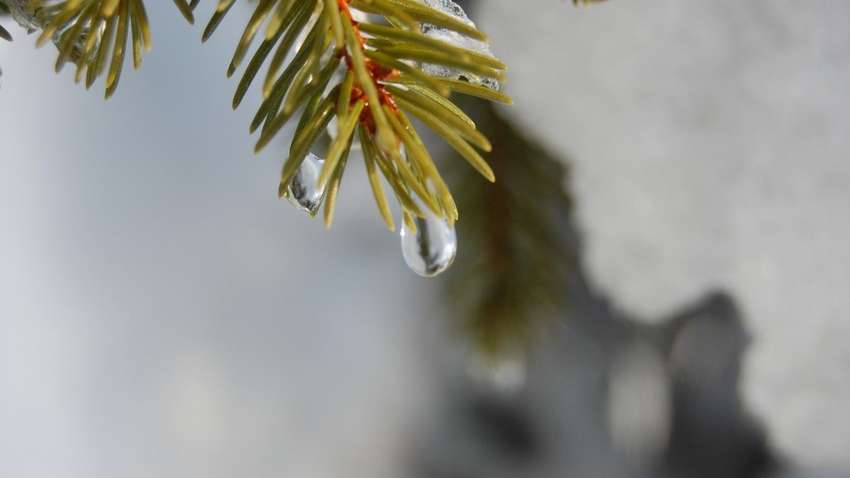 Снігопади відступають: якою буде погода в Україні 21 лютого