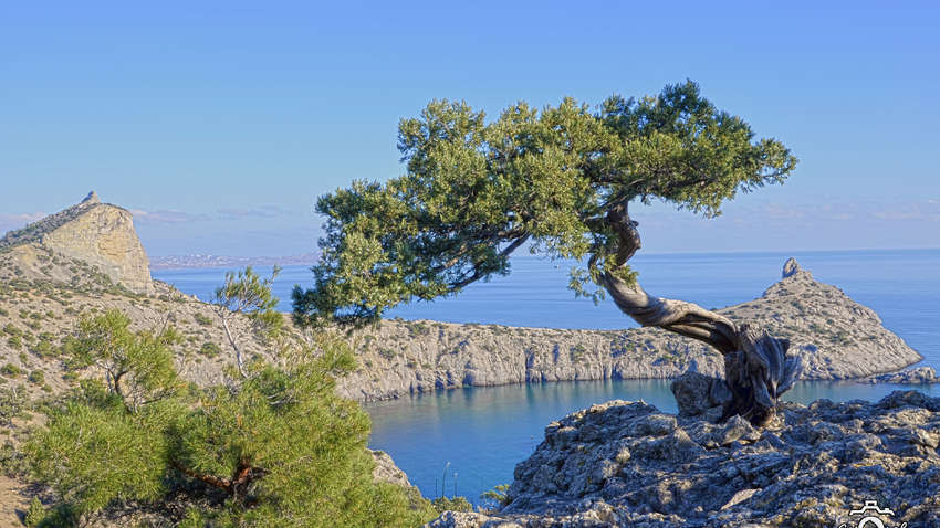 Крым — это Украина: наше посольство в США призвало издание The New York Times исправить ошибку