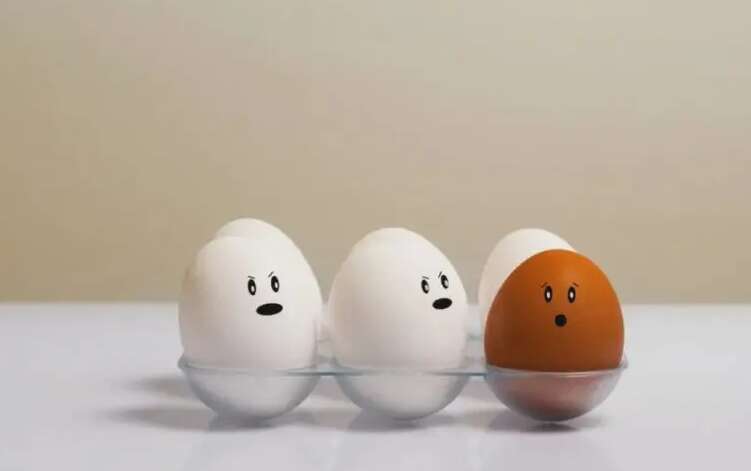 Скільки можна зберігати варені яйця: названо точний час Скільки можна зберігати варені яйця: названо точний час