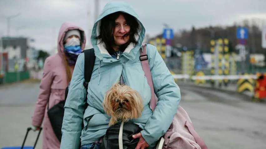 Украинские беженцы в Швеции изменили свое мнение о возвращении домой
