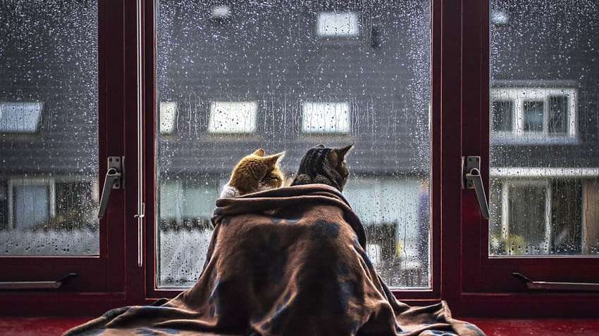 Погода в Украине: синоптик рассказала, какие области в выходные зальет дождями 