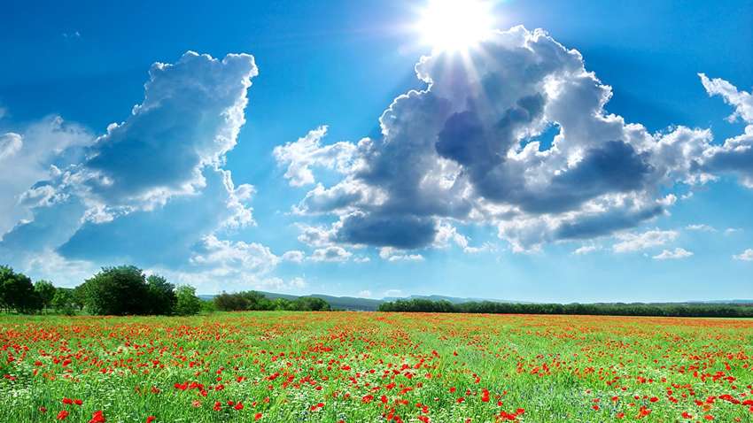 Оприлюднено прогноз погоди на вівторок