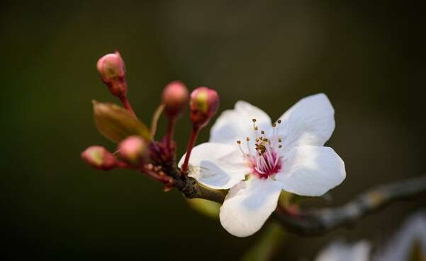 Яке сьогодні свято 4 травня: усе про цей день