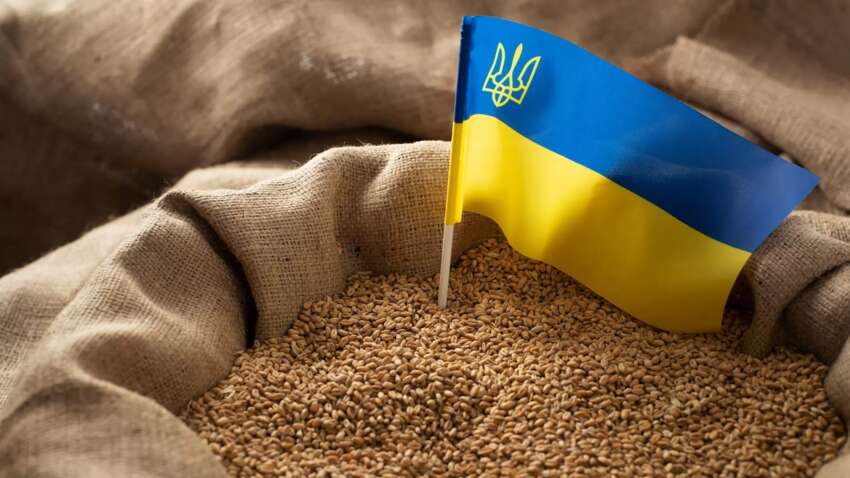 Україна вивезла 37 млн тонн продовольства: агроекспорт шокував масштабами
