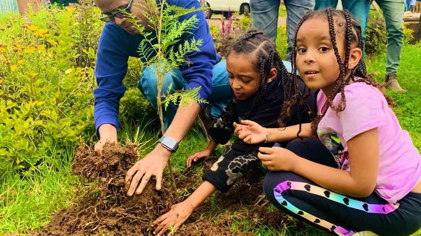 У Ефіопії за 12 годин посадили понад 350 млн дерев