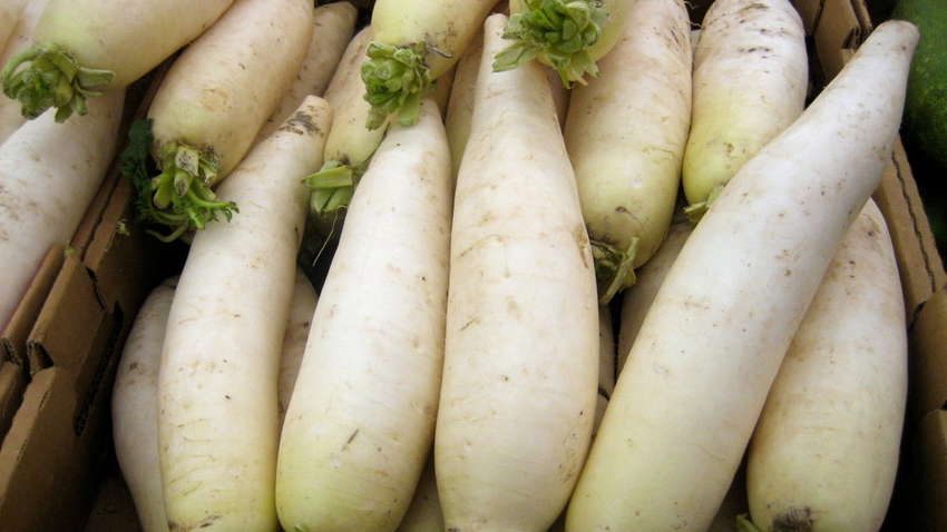 Назван незаслуженно забытый овощ для укрепления иммунитета Назван незаслуженно забытый овощ для укрепления иммунитета