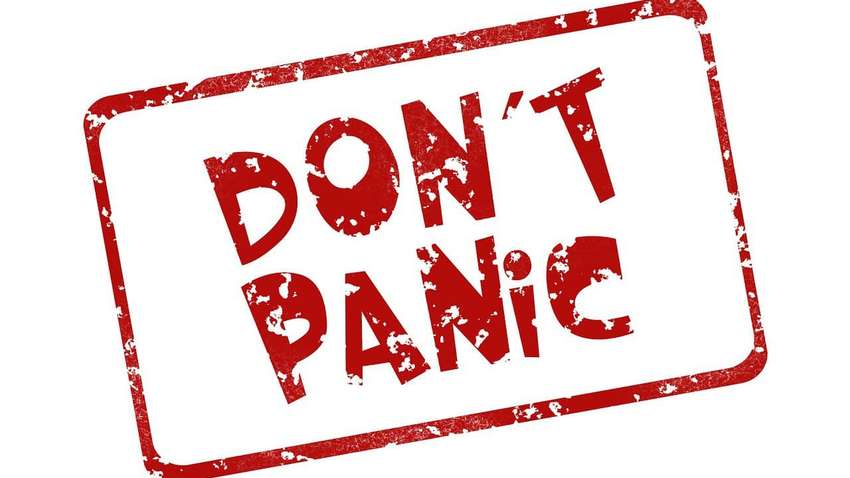 В Киеве обнаженная активистка Femen призвала украинцев не паниковать (ФОТО) 