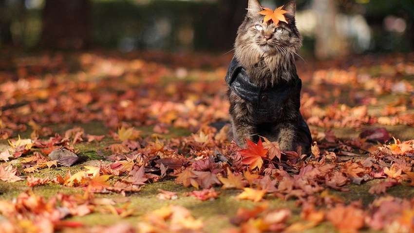 Прогноз погоды: когда ждать потепления в Украине