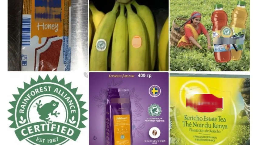 В соцсетях ходят слухи о продуктах из мРНК вакцин: правда или вымысел