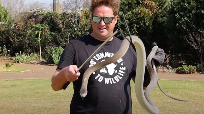 Популярний блогер помер від укусу однієї з найотруйніших змій у світі
